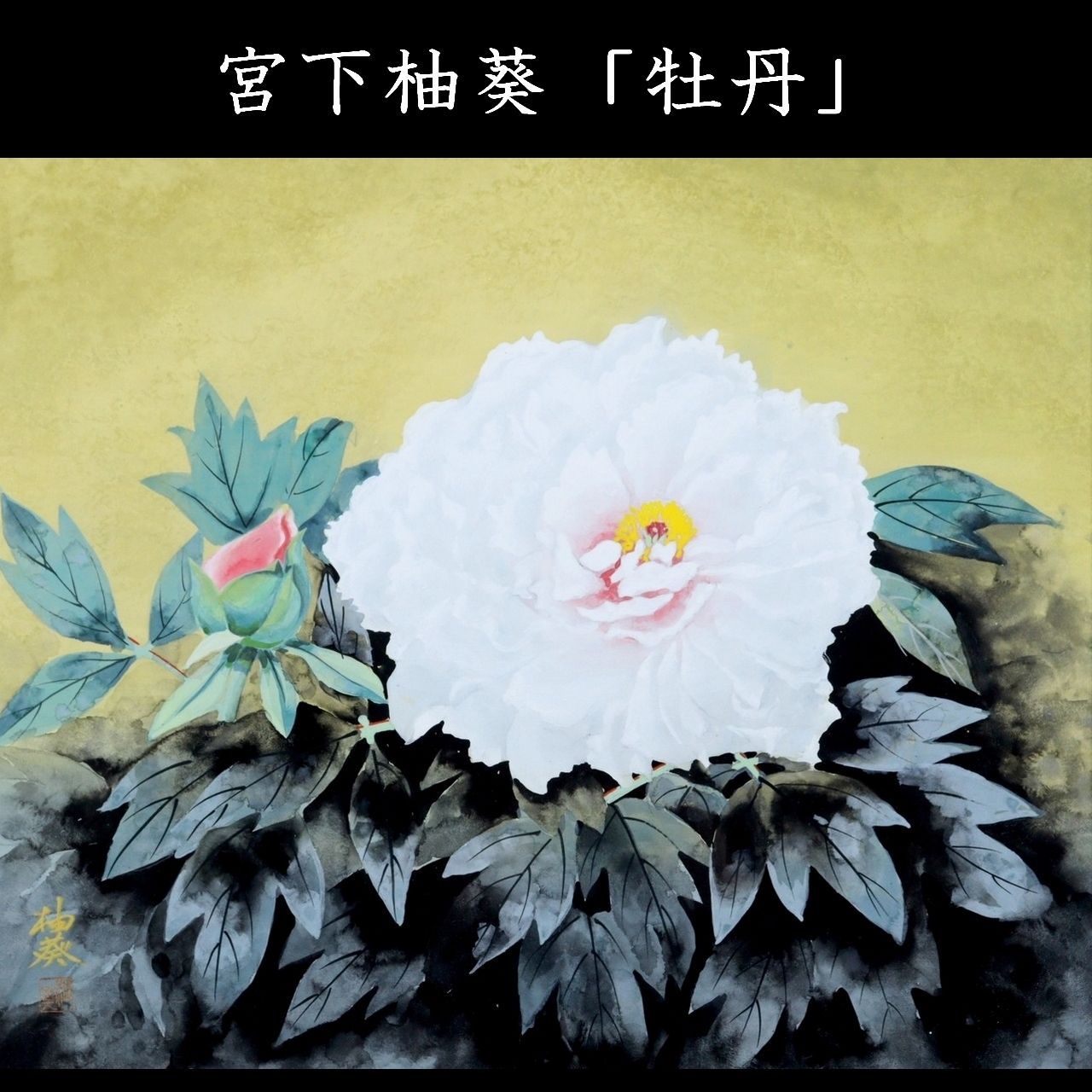 若者の大愛商品 宮下柚葵 「牡丹」 肉筆日本画10号 共シール 白牡丹 花 唐物 絵画