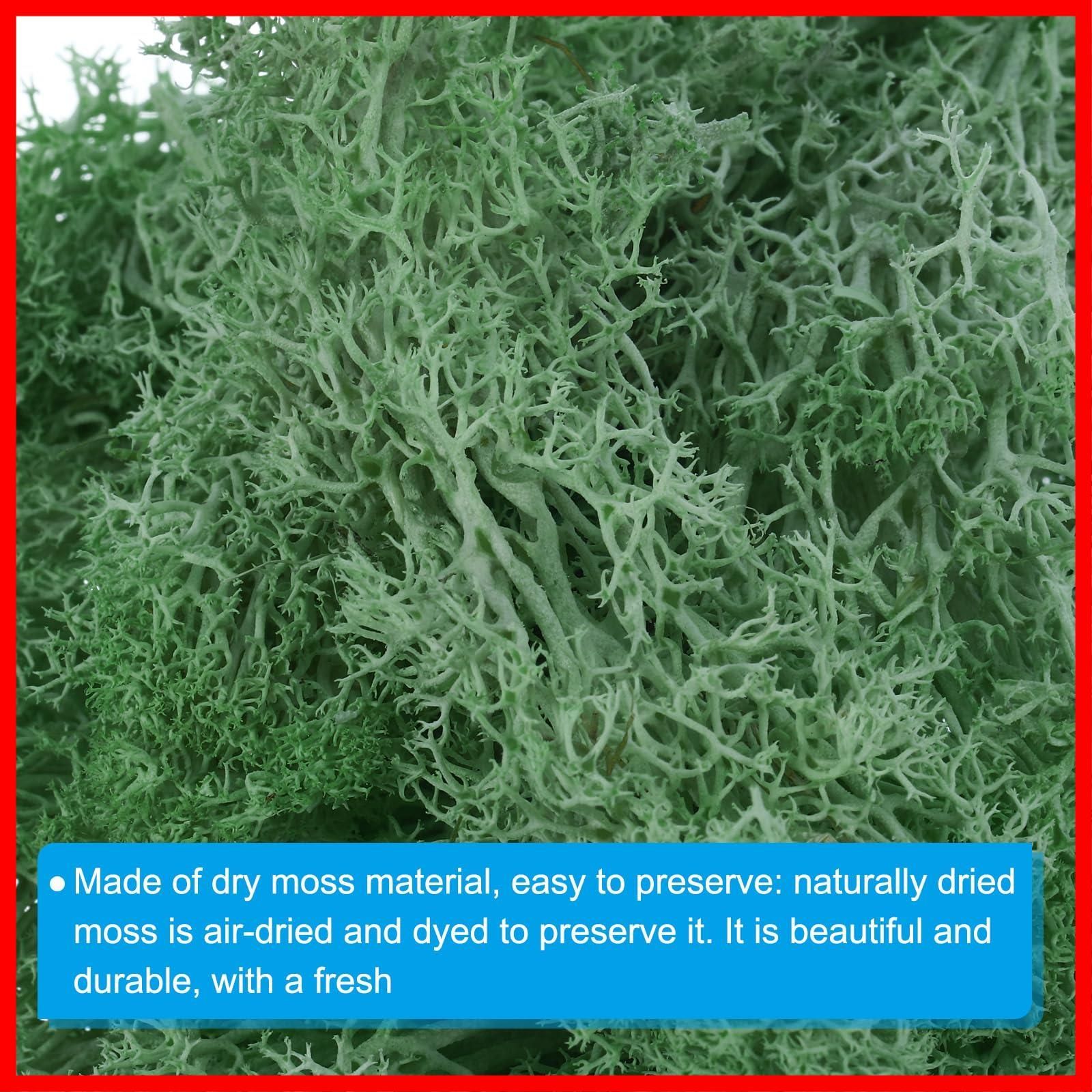 フェイクモス PATIKIL