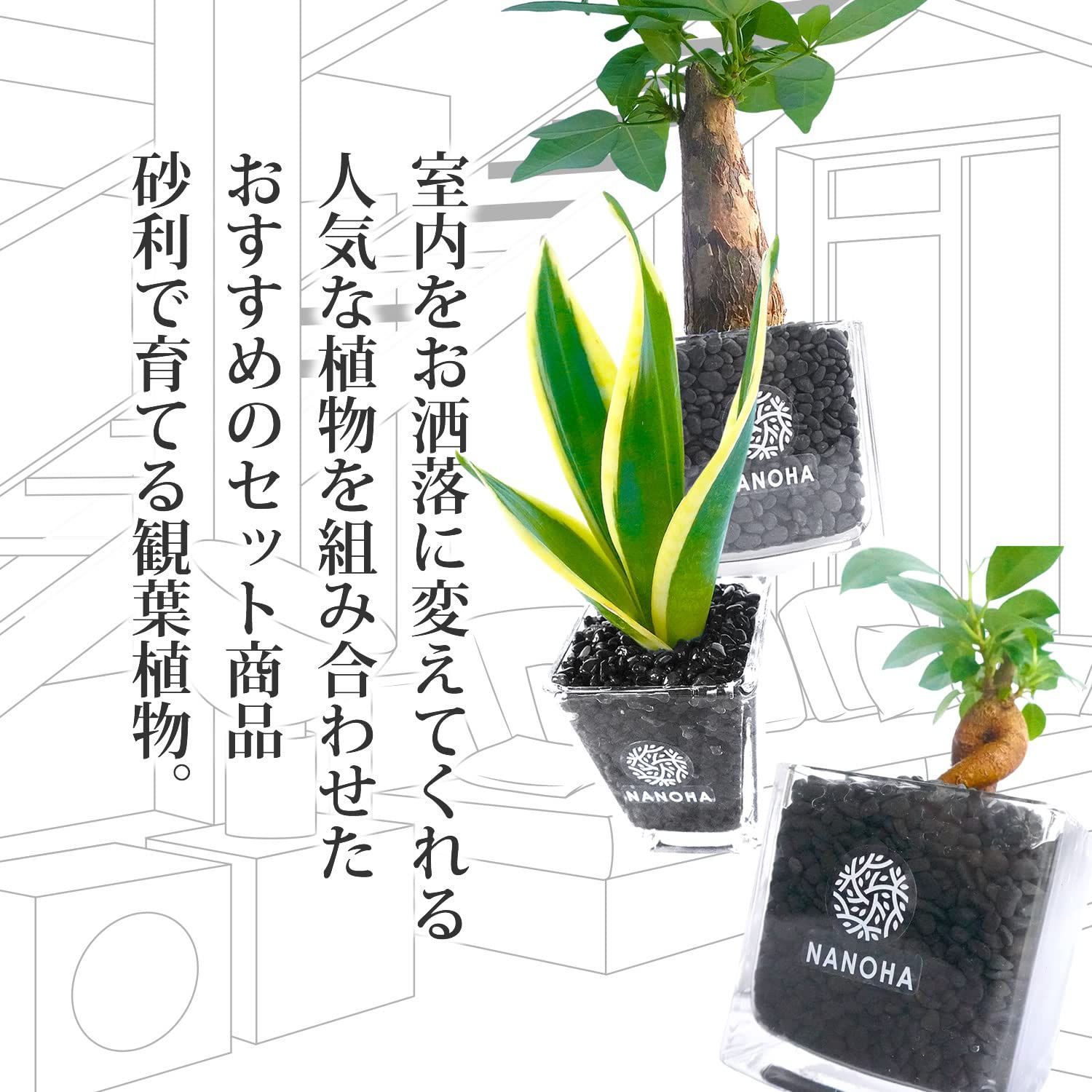 3鉢セット 黒砂利グラス