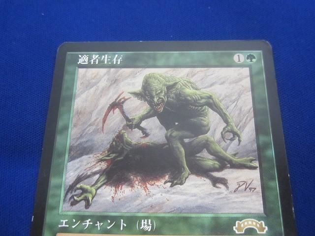 状態D トレカ MTG マジック:ザ・ギャザリング EXO-129 適者生存