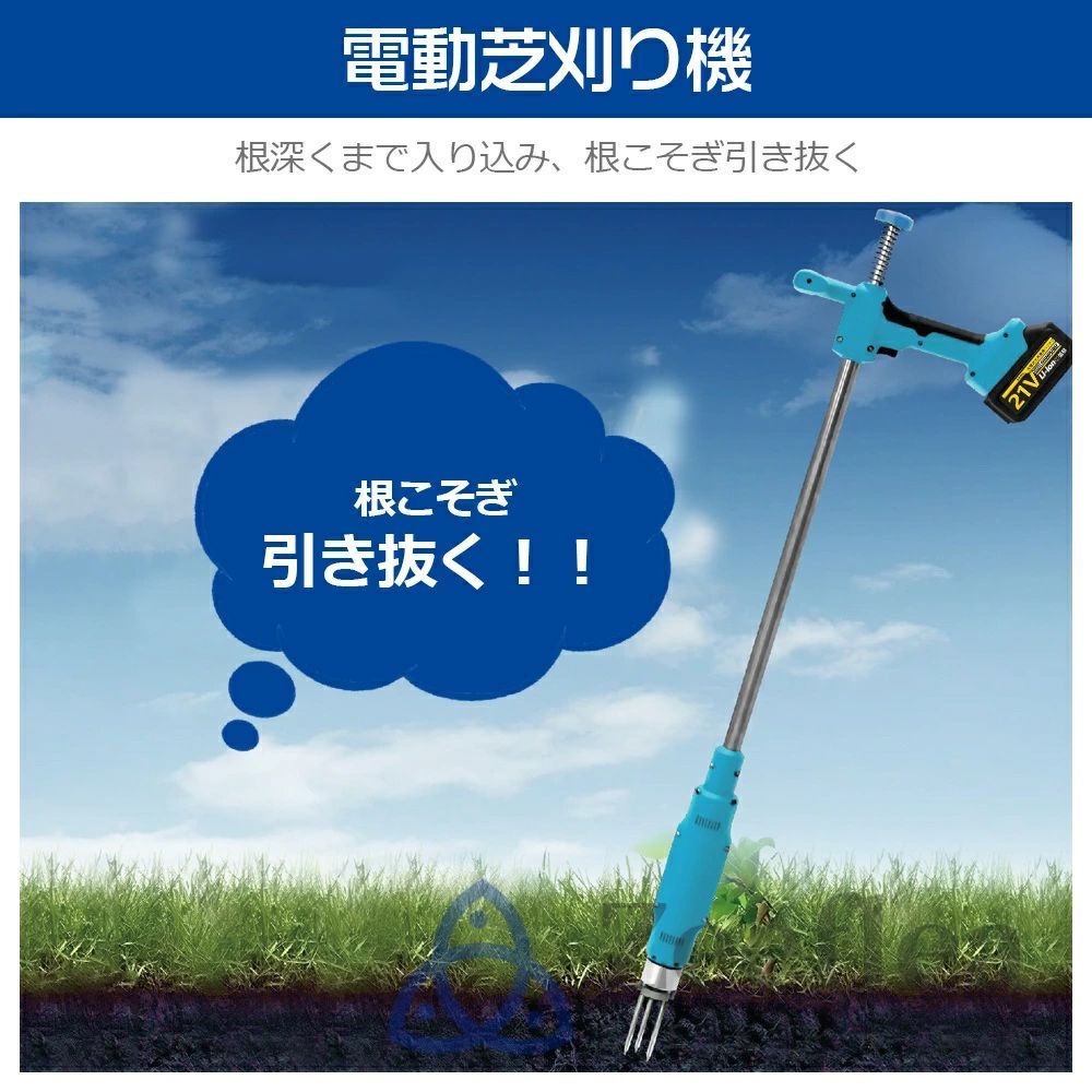 草むしり 草抜き
