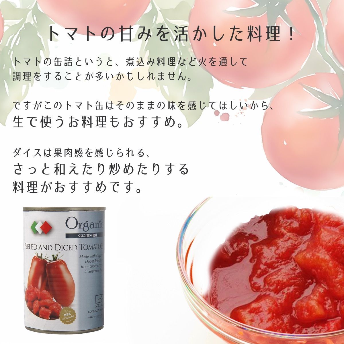 新論理国語 学習課題ノート・解答・解説編付 三省堂 三省堂版準拠 精選