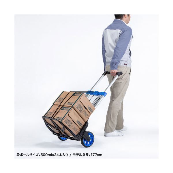 投資価値のある サンワサプライ 折りたたみキャリー 2輪台車 CART-FA10BK 的確な