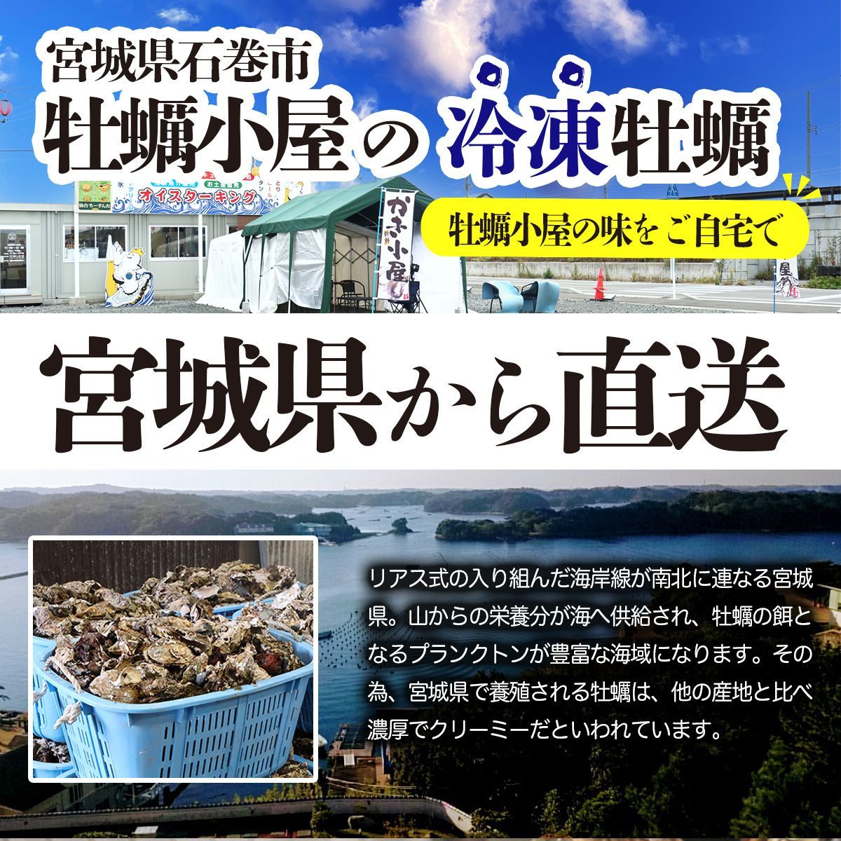 沖縄・北海道・離島専用》辛子明太子(バラコ) 600g 粒うま 皮なし 訳あり 明太子 めんたいこ 海鮮 ご飯のお供 [冷凍]（訳あり  無着色辛子明太子 2kg （400g×5） 並切 （バラコ込み） わけあり 食品 切れ子 切子 めんたいこ お取り寄せグルメ 博多 福岡 お土産  お返し ...