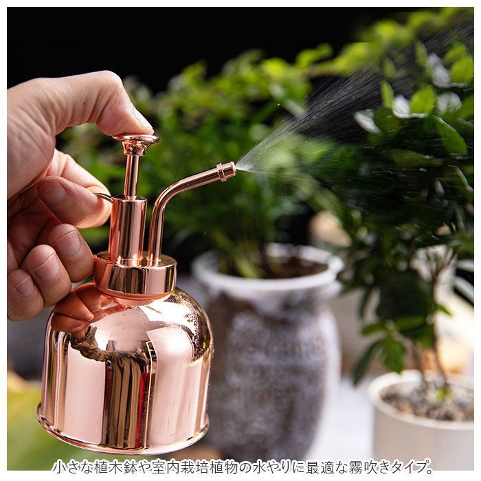 【アクタス/ステンレス セット】 ジョウロ 霧吹き 水差し じょうろ 観葉植物 アクタス/ステンレス セット】 ジョウロ 霧吹き 水差し じょうろ