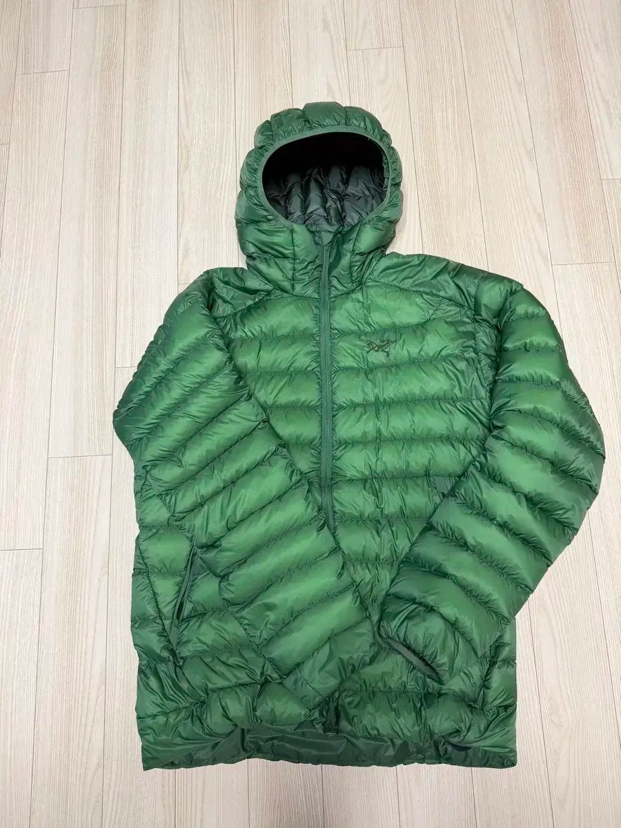 ARC TERYX アークテリクス ARC TERYX Cerium アークテリクス セリウム フーディー パーカー エデン m