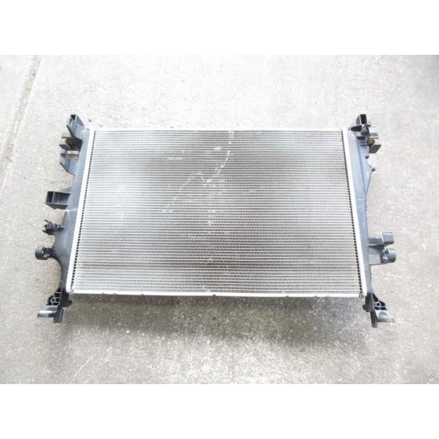 28年 ジープ レネゲード ABA-BU14 純正 ラジエーター テストOK 8E4562100 203100 4751 FFCRYSTALESIA_COM