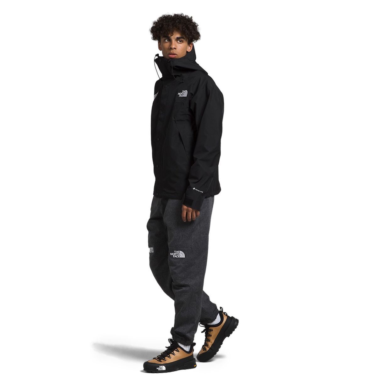 THE NORTH FACE ザ ノースフェイス GTX MOUNTAIN JACKET