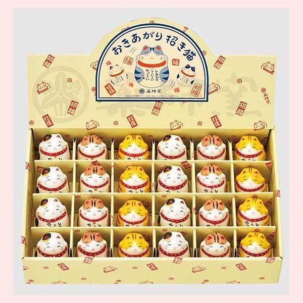 超激レア】任天堂 ポケモンキッズ カロススペシャル ボルケニオン 最新