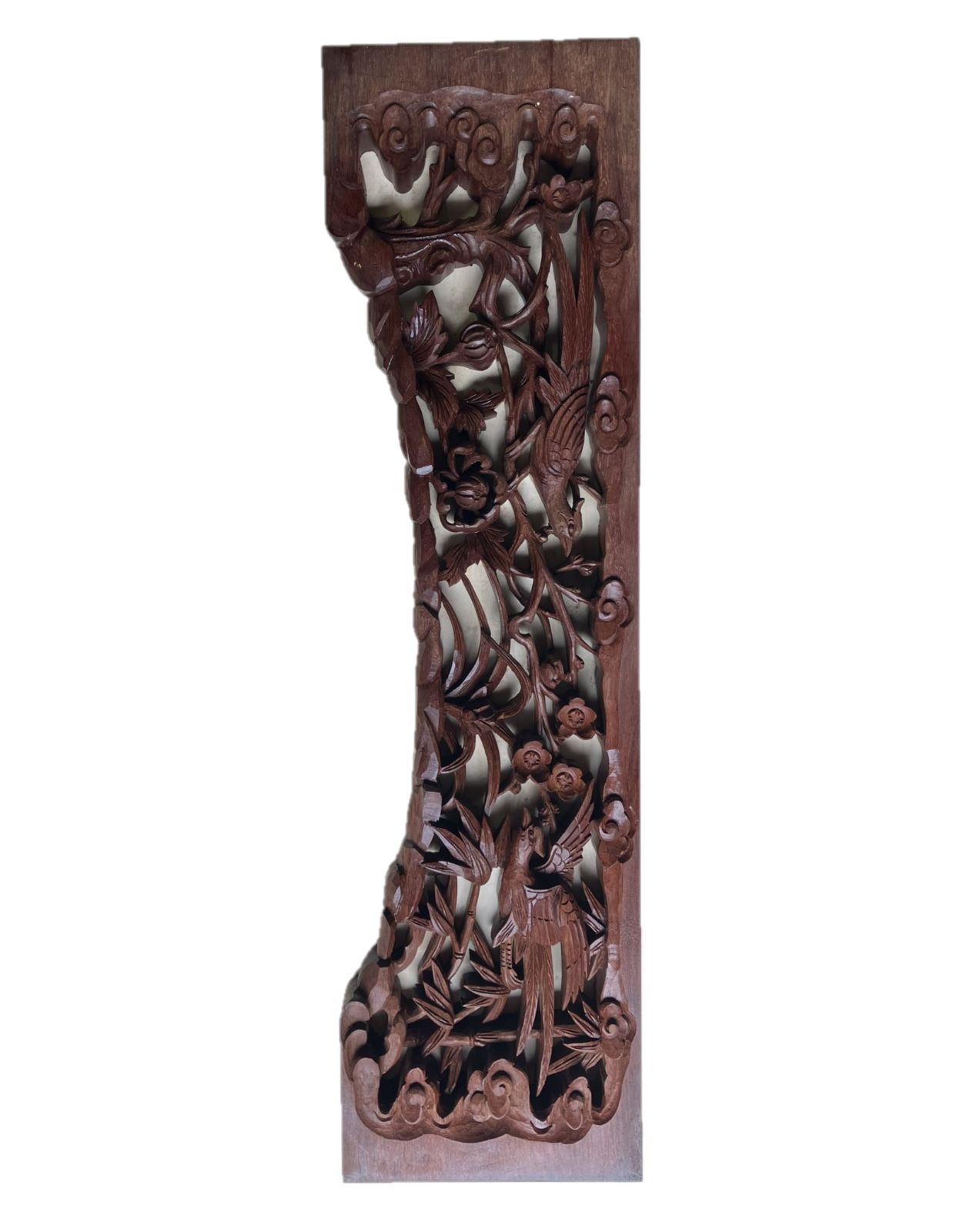 逢絢亭・新品】茶道具 数茶碗 信楽焼 掛分 菖蒲の図 5客セット 西尾香