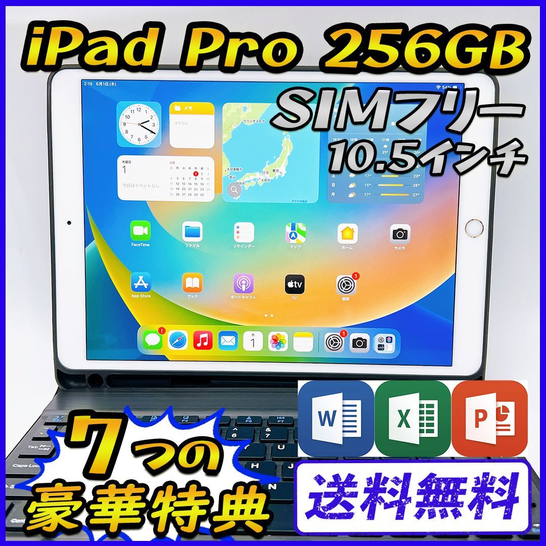 【大容量】iPad Pro 256GB SIMフリー 10.5インチ【豪華特典付き】 管理番号：539