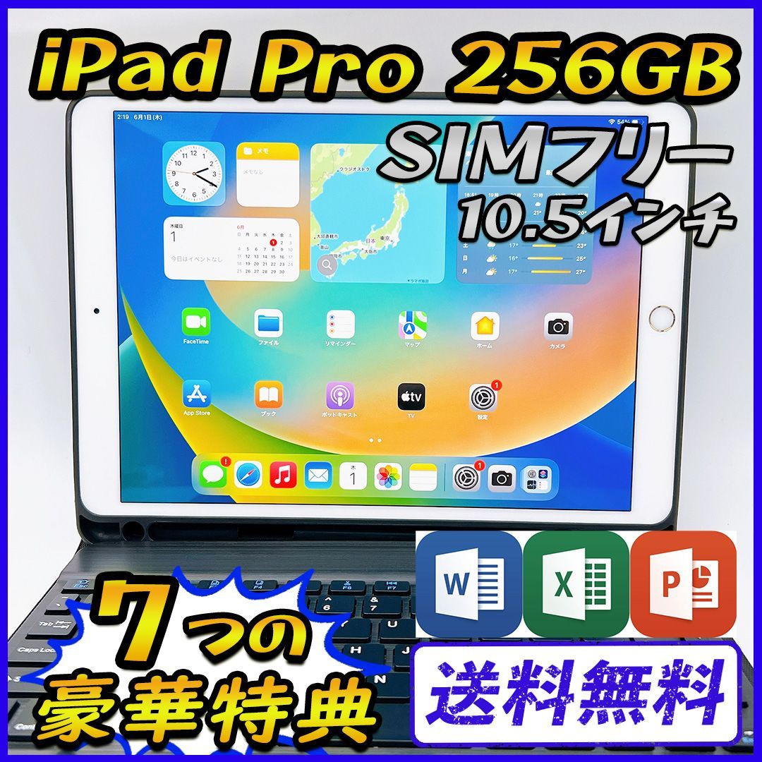 【大容量】iPad Pro 256GB SIMフリー 10.5インチ【豪華特典付