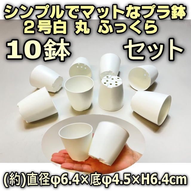 ミニプラ鉢専門店＊シンプルでマットなプラ鉢2号白(丸)ふっくら-10鉢