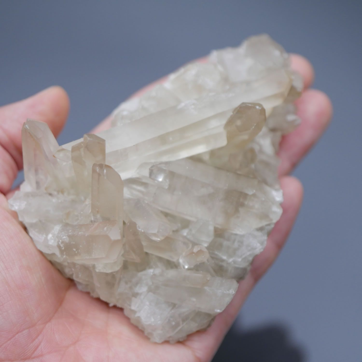 マダガスカル産 煙水晶 天然スモーキークォーツクラスター 1点物