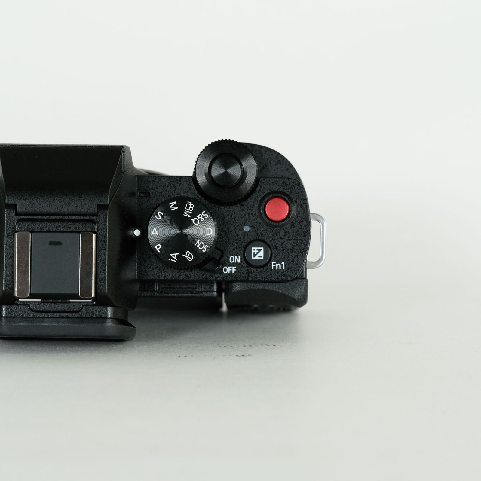 LUMIX DC-G100V