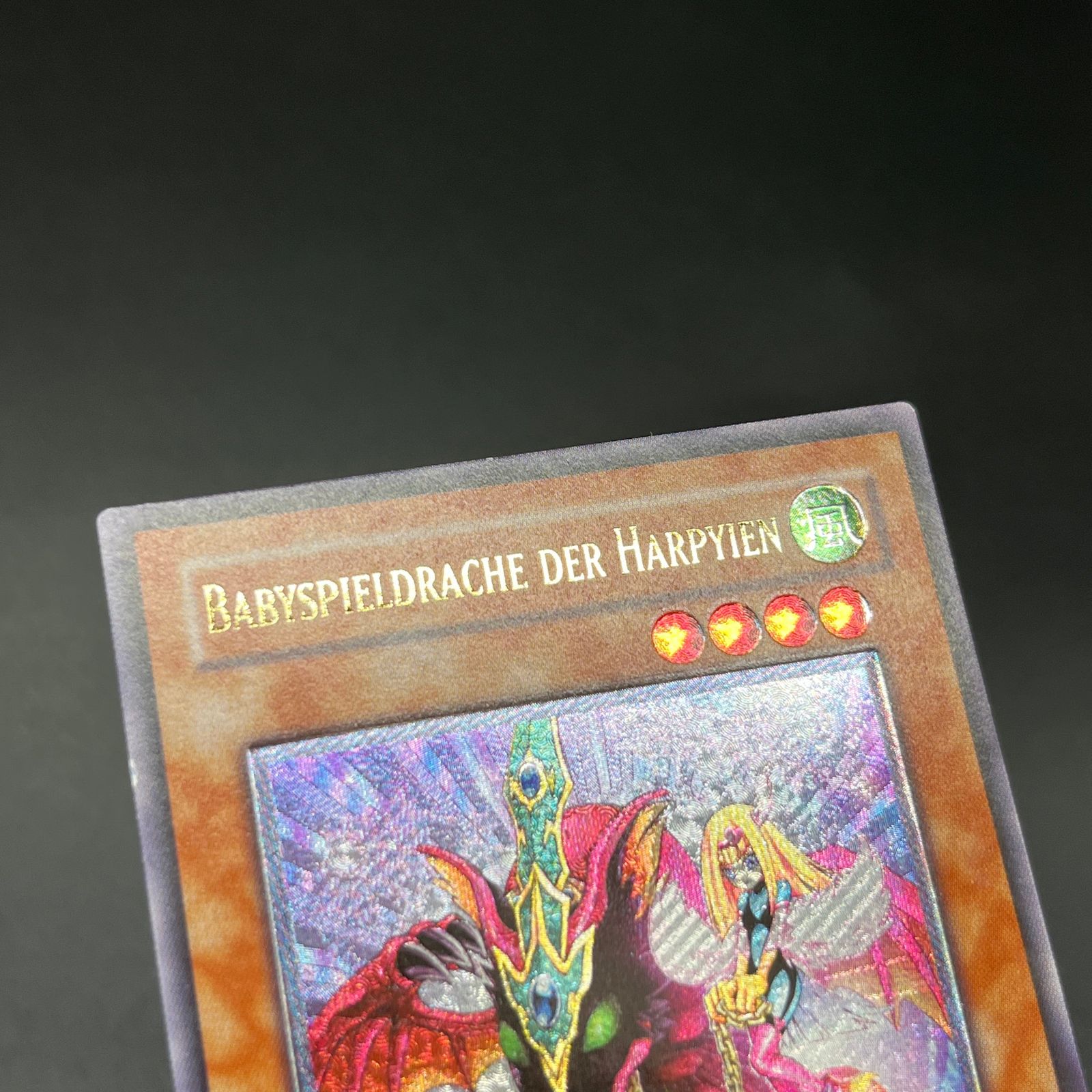 遊戯王 ハーピィズペット仔竜 ドイツ語版 レリーフ 1st 遊戯王 ハーピィズペット仔竜 EU レリーフ の通販 くもまる