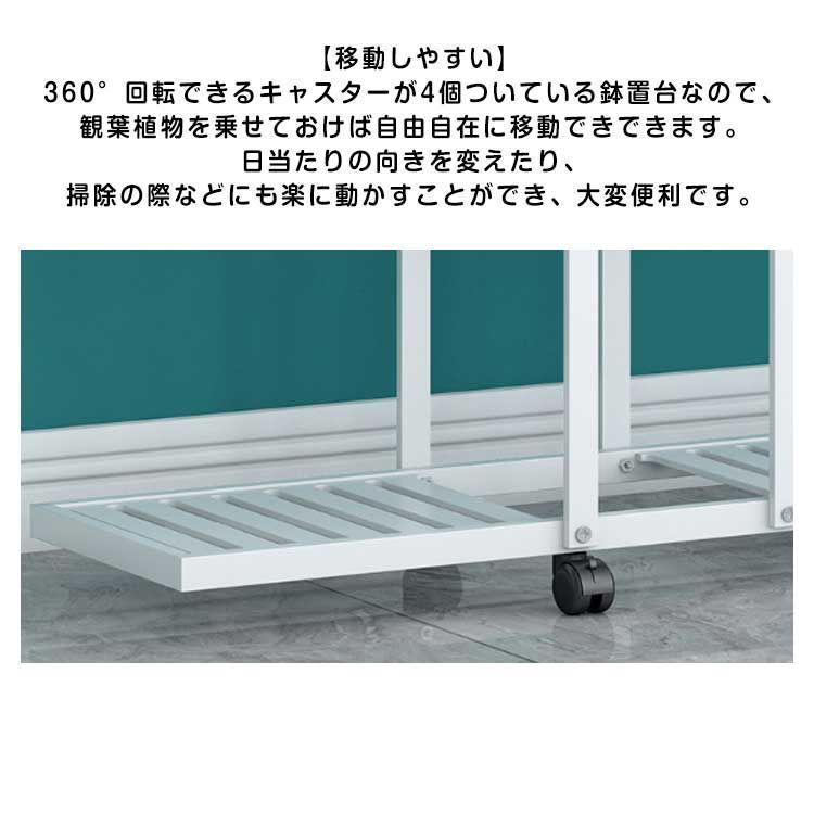 たらのめ 山菜 タラの芽 約1.5kg たらの芽〈タラノメ〉タラメ たらめ1パック