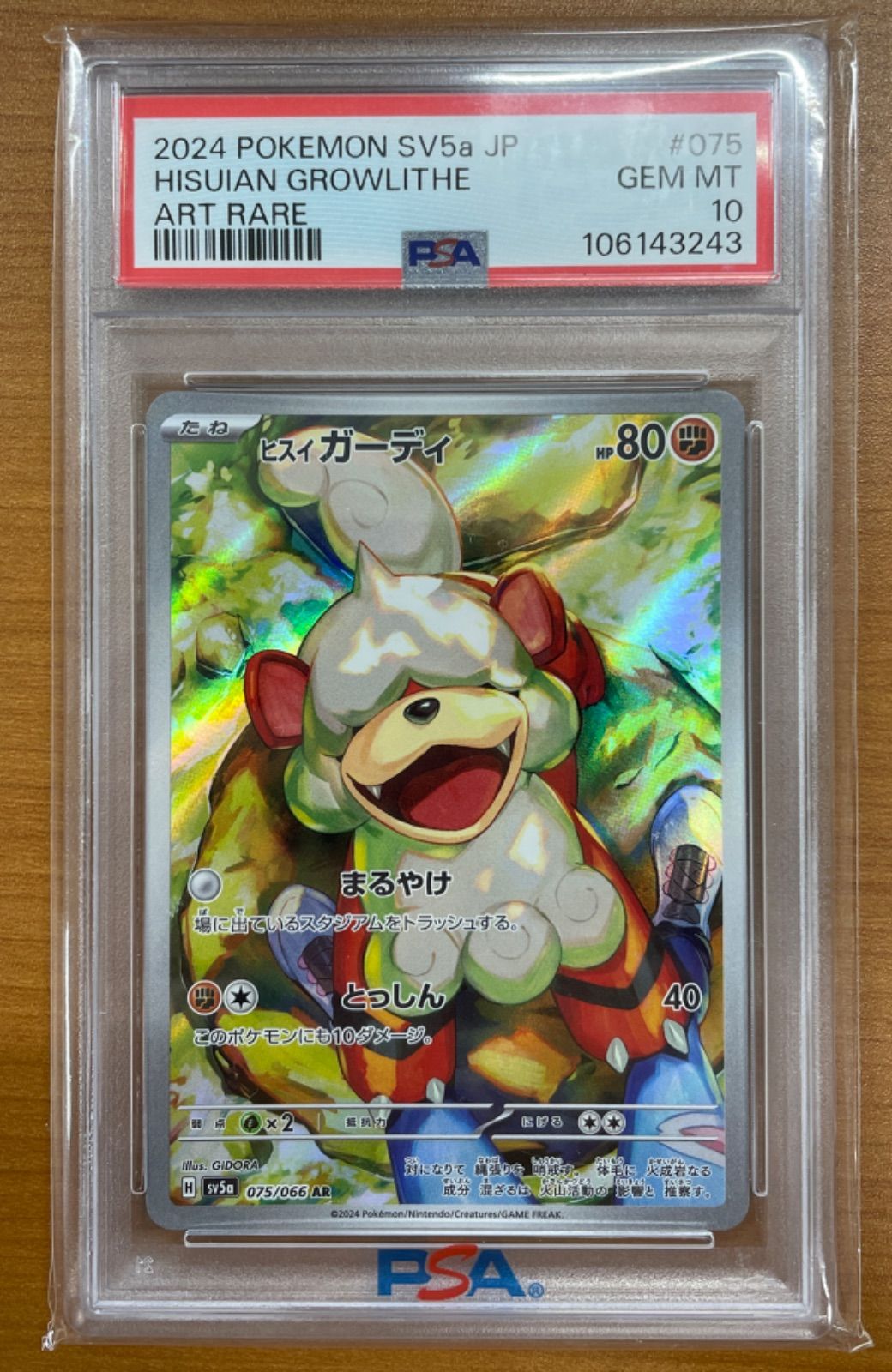 ポケモンカード 海外版 ガーディ Growlithe 8/9以降発送 ︎新品