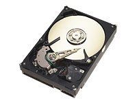 【中古】【非常に良い】Seagate Barracuda 7200.7 Disque Dur Interne 200 Go bme6fzu