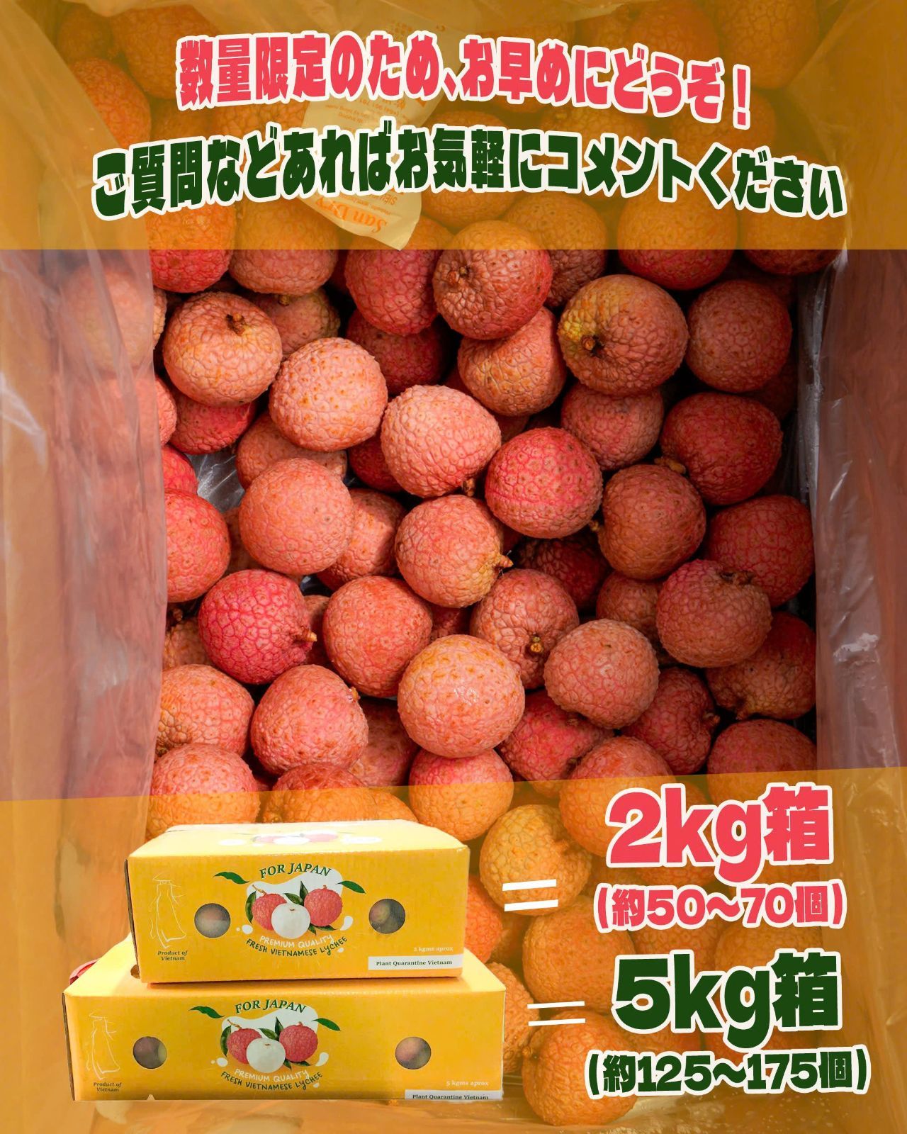 北海道限定】ベトナム産生ライチ 2kg 送料無料 - メルカリ