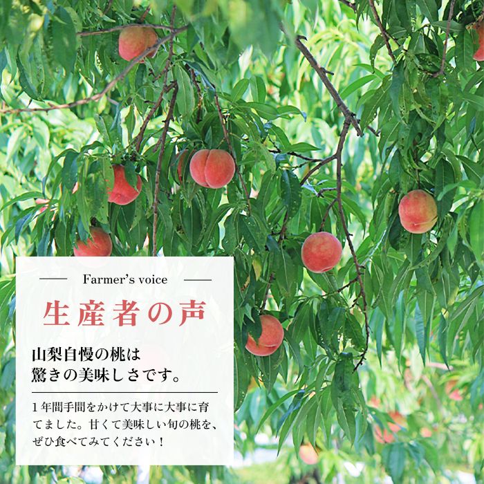 桃 もも 訳あり 5kg 山梨県産 品種おまかせ クール便 - メルカリ