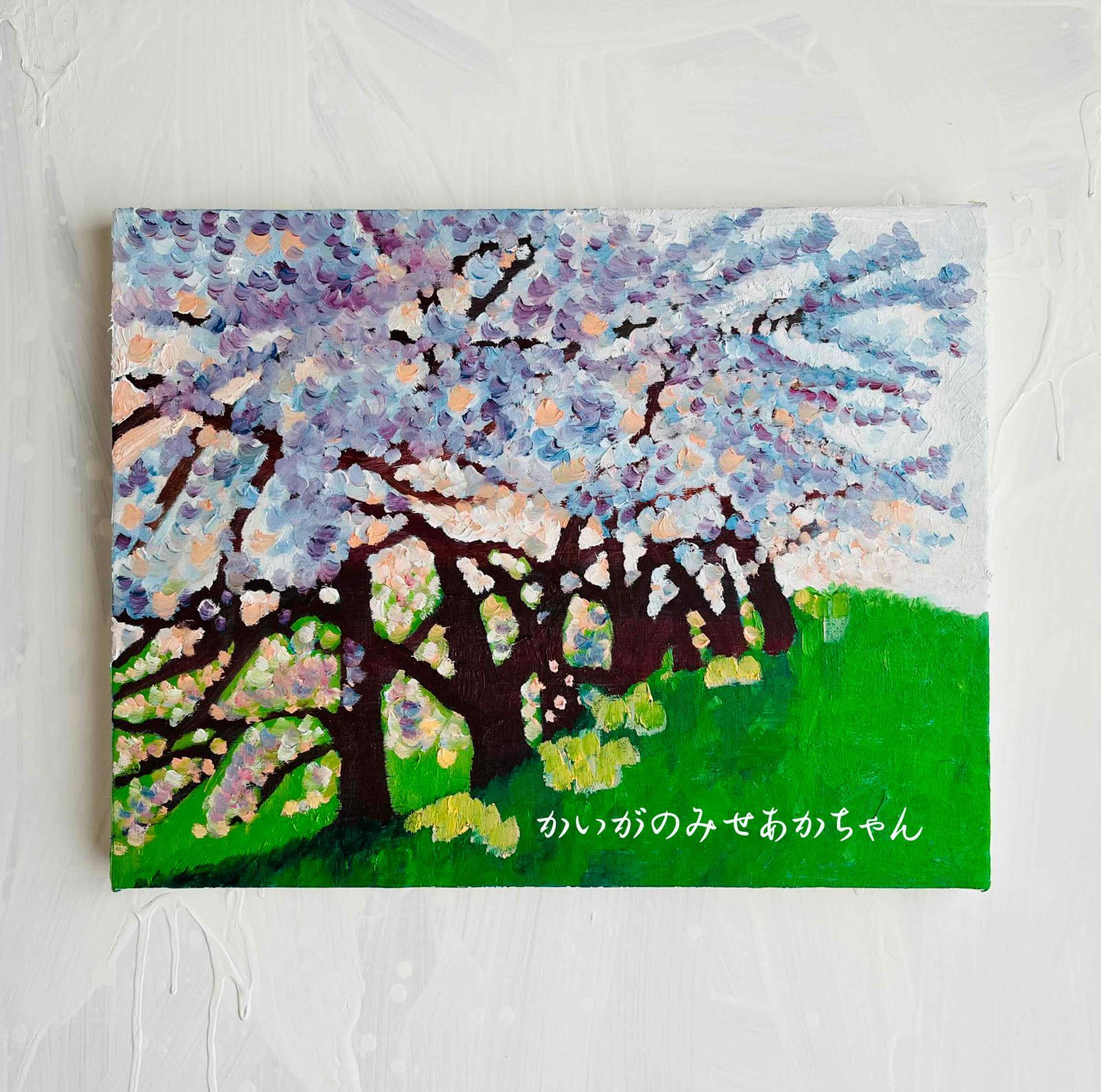 41㎝角「朝の桜」油彩・原画・S６ 41㎝角「朝の桜」油彩・原画・S6