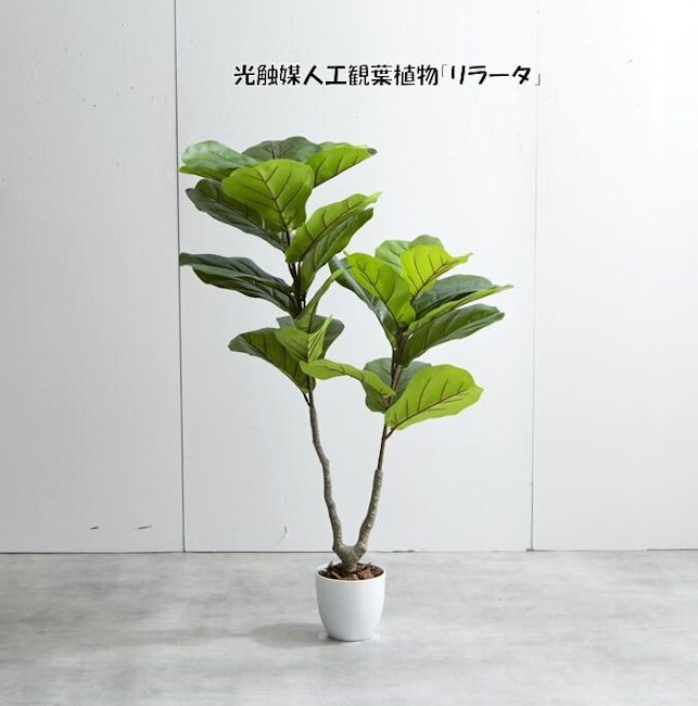 Funderful 人工観葉植物 光触媒 グリーンフィカス 160cm - 造花・人工植物