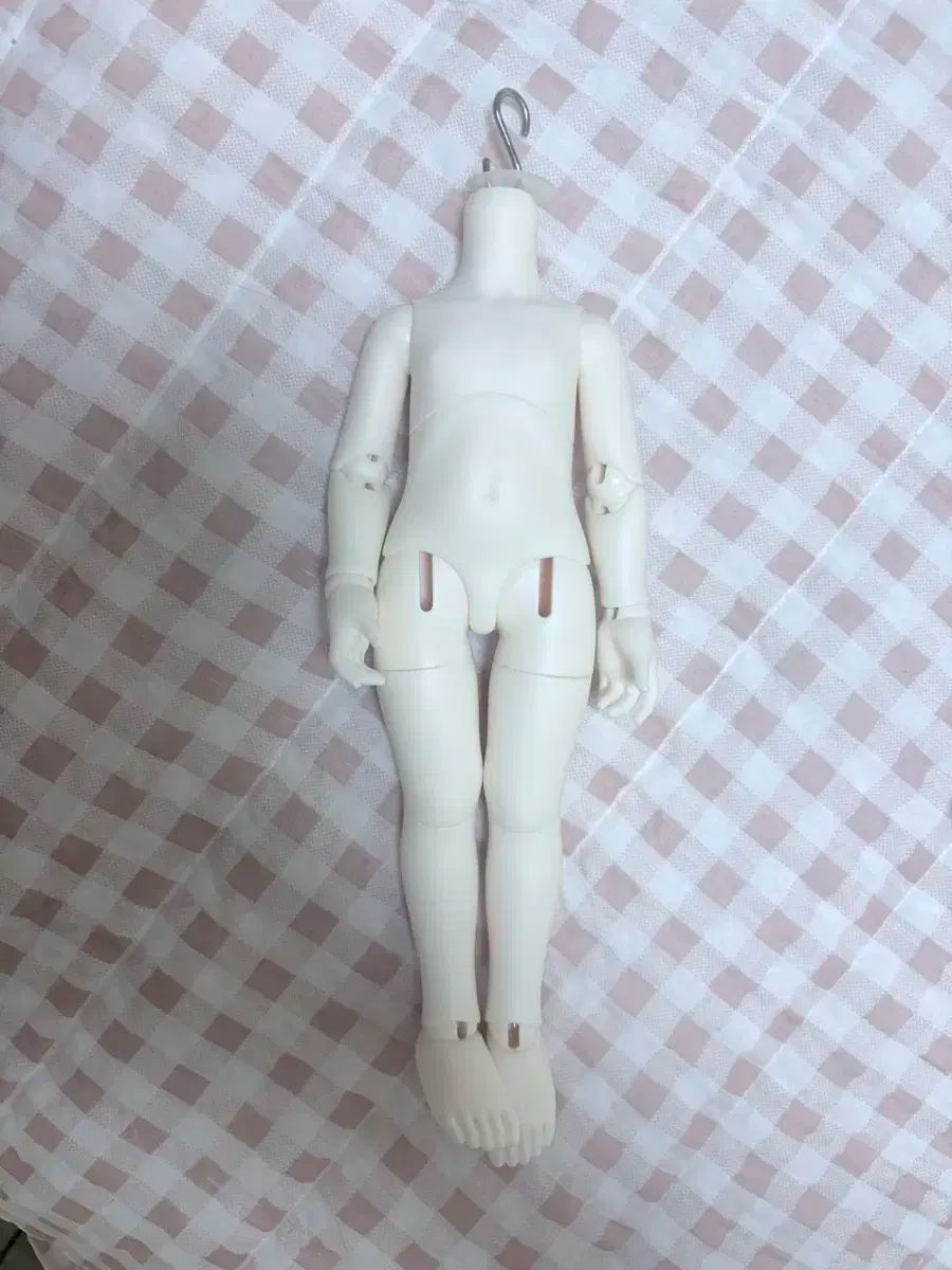 ボディー