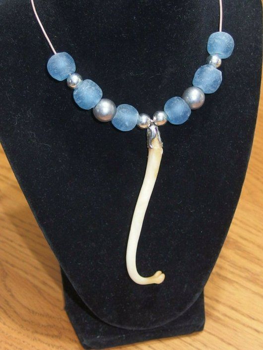 大量入荷！ アライグマ（ラクーン） 陰茎骨（ペニスボーン）大 - メルカリ