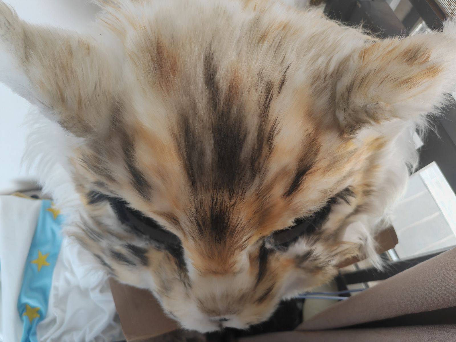 着ぐるみヘッド