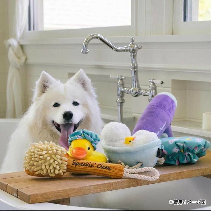 スプリッシュスプラッシュ