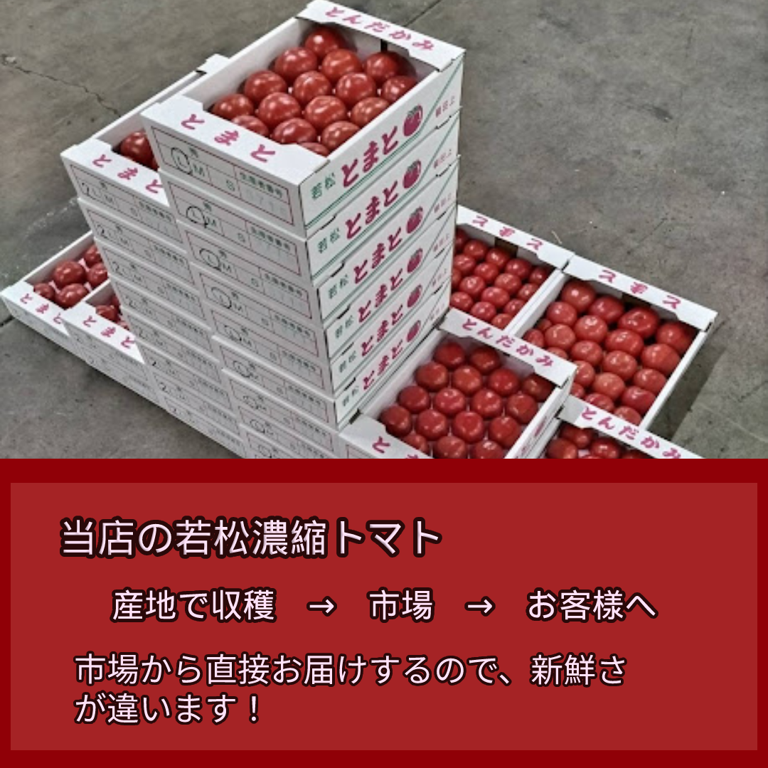 【数量限定品】福岡県産　若松濃縮トマト　1.2kg（15～30玉） 濃縮トマト　若松トマト　トマト-2