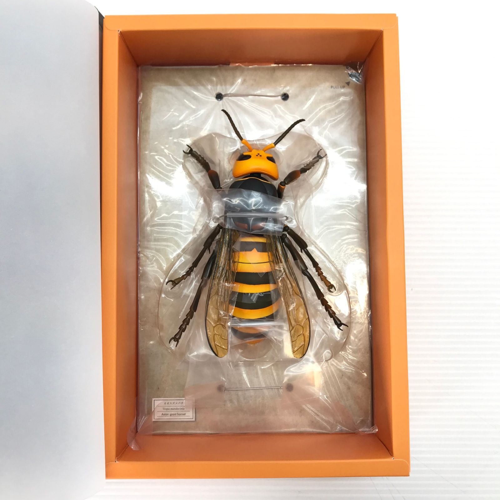 海洋堂REVOGEO 新品未開封 リボジオ オオスズメバチ 海洋堂 リボジオ