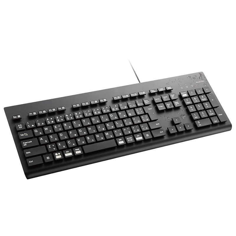 エレコム 洗える キーボード 有線 防水 IPX5対応 メンブレン フルサイズ テンキー付 抗菌 ブラック TK-WS01UMKBK