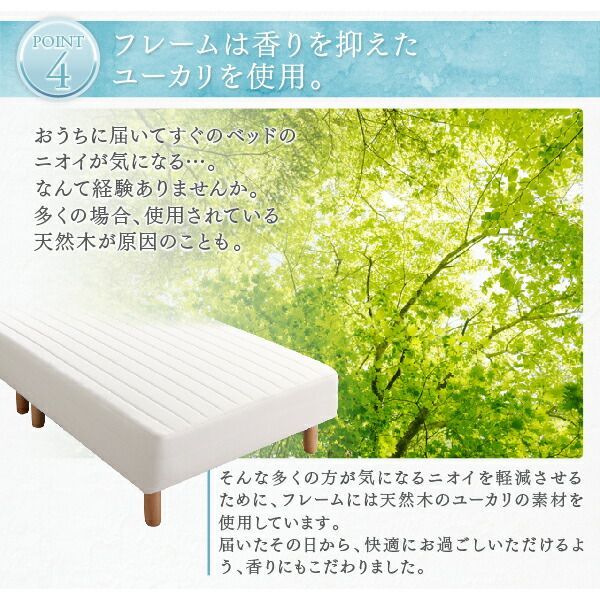 脚15cm