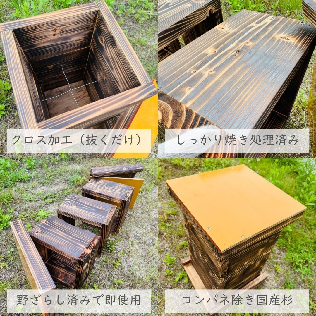 ハチ ミツバチ