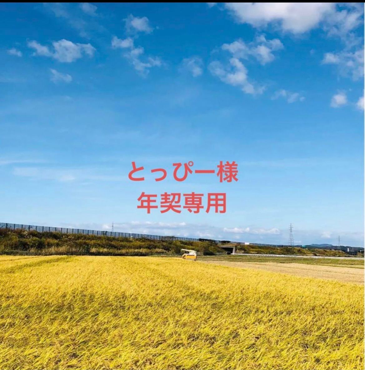 【とっぴー様年契専用18〜20時‼️】令和５年度ひとめぼれ玄米30Kg