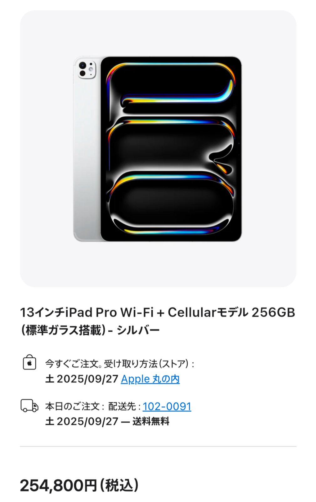 ♥品 iPad Pro M4 13インチ 256GB Cellular 標準ガラス搭載 シルバー