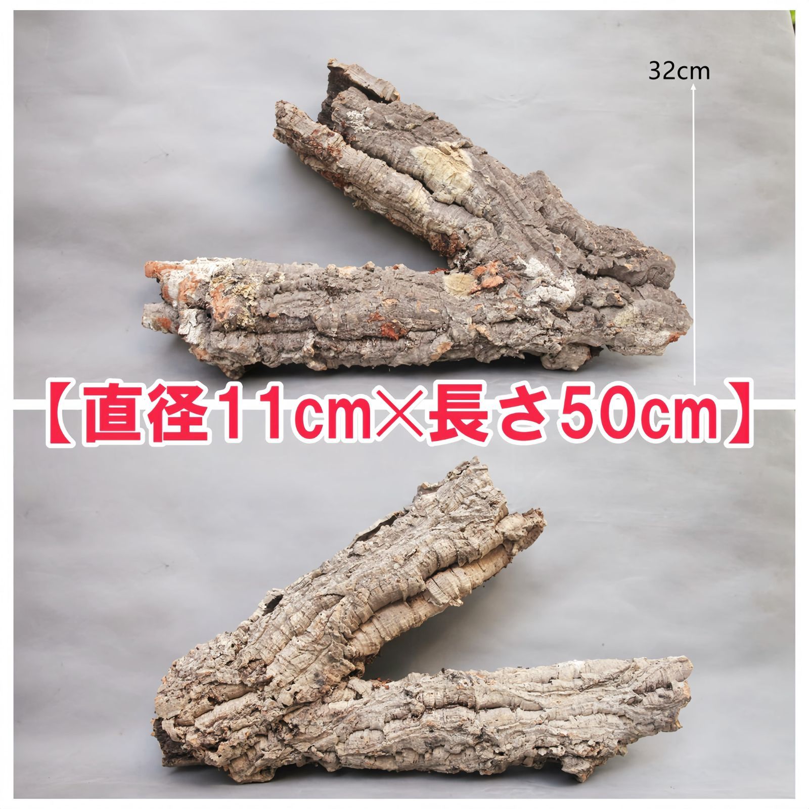 W339 ポルトガル産 キャノンコルク コルク樹皮 コルク板 バージンコルク 送料無料 チランジア ビカクシダ 着生ラン 両生類 爬虫類