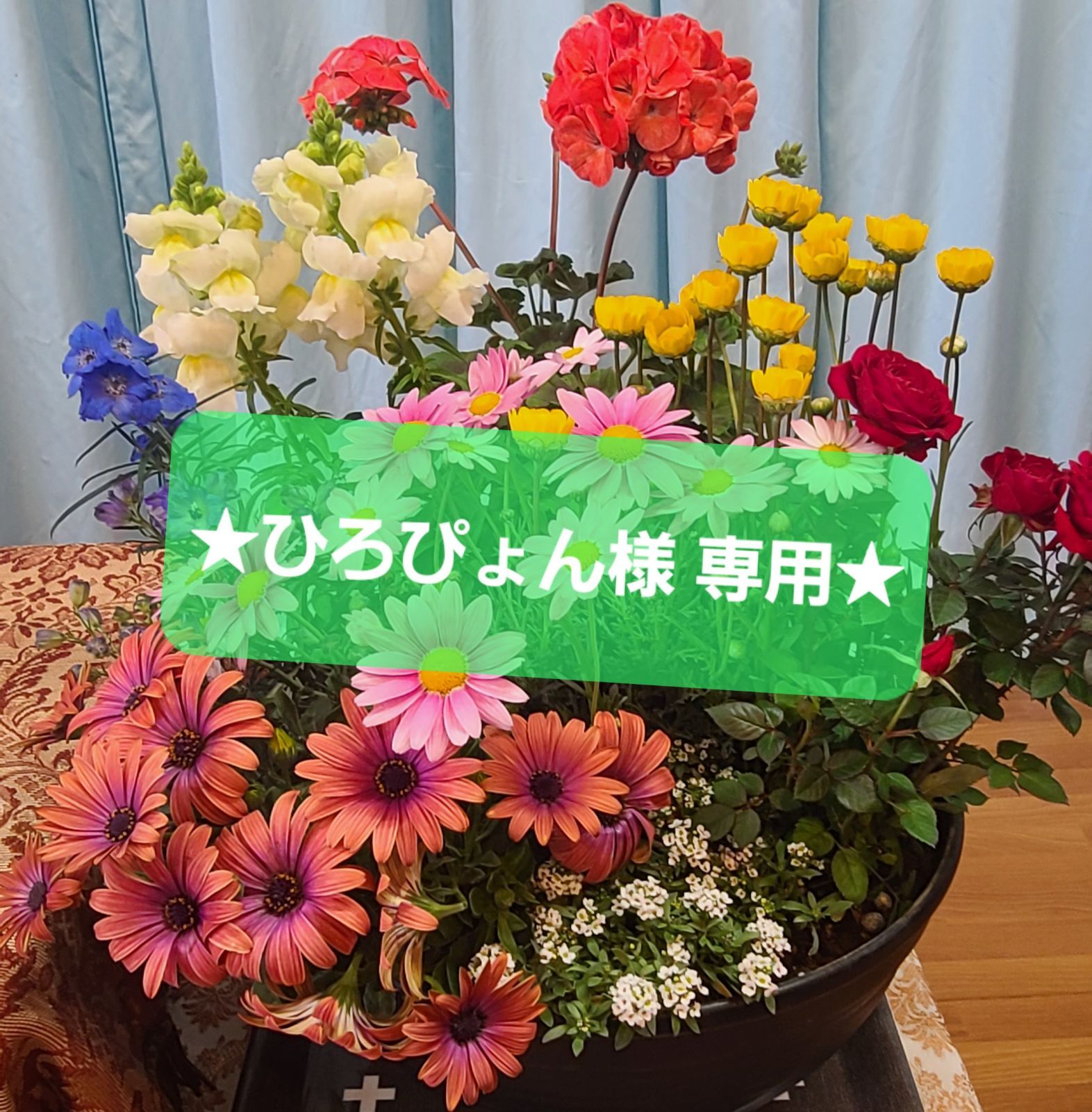 ひろぴょん様 MIX80本