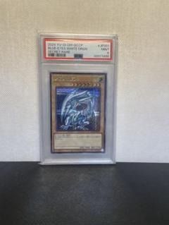 青眼の白龍 初期絵 シークレット PSA9 シクブル