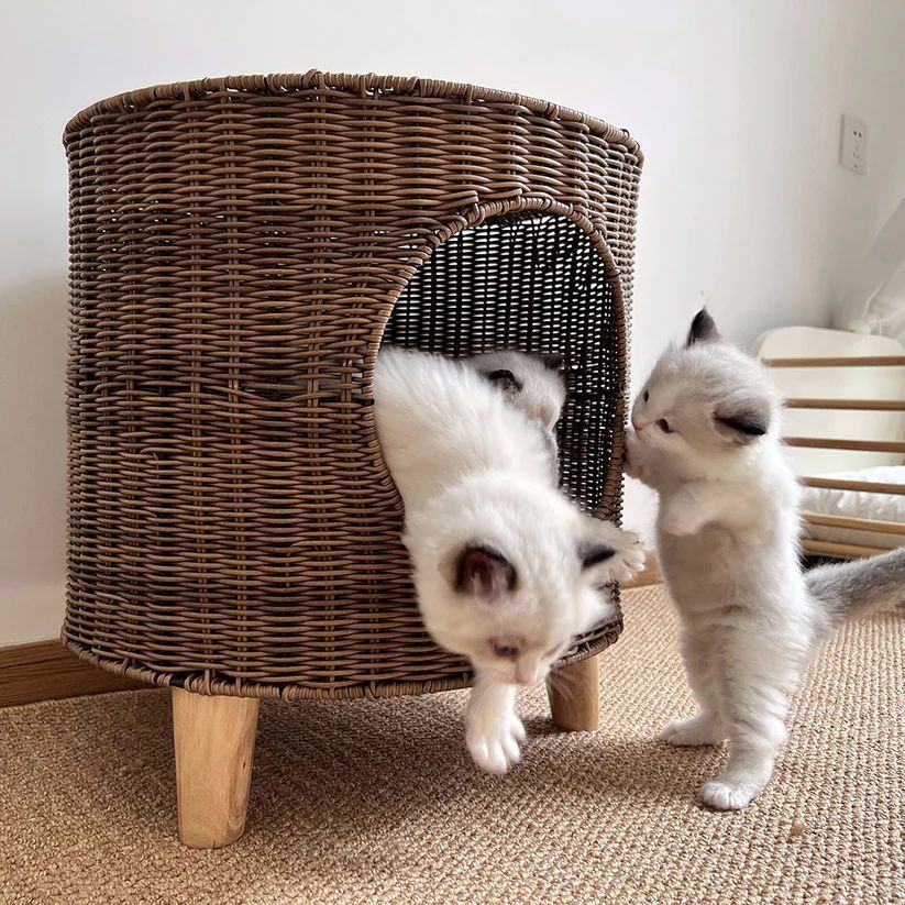 ラタン調猫ベッド 猫ハウス