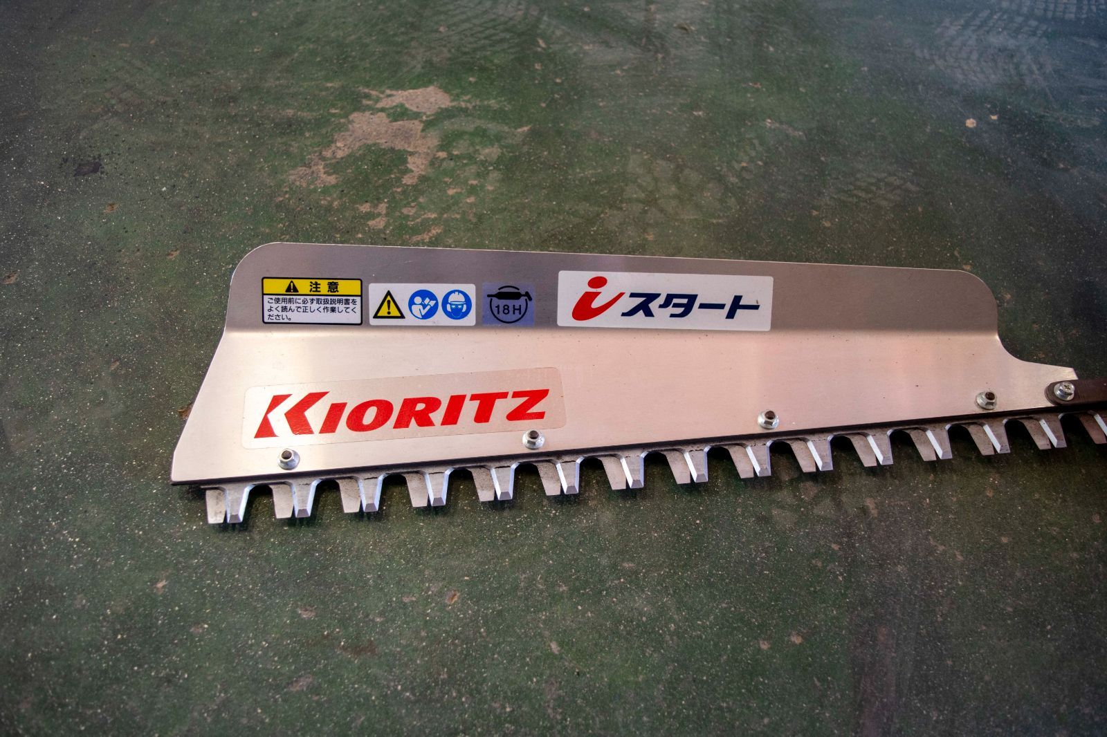 iスタート 生垣