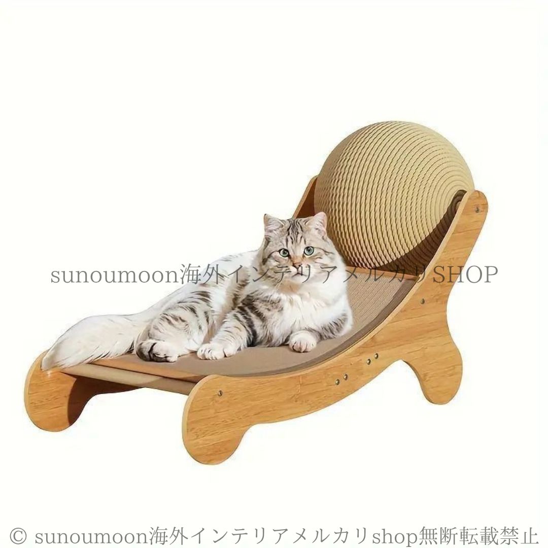 キャット かわいい