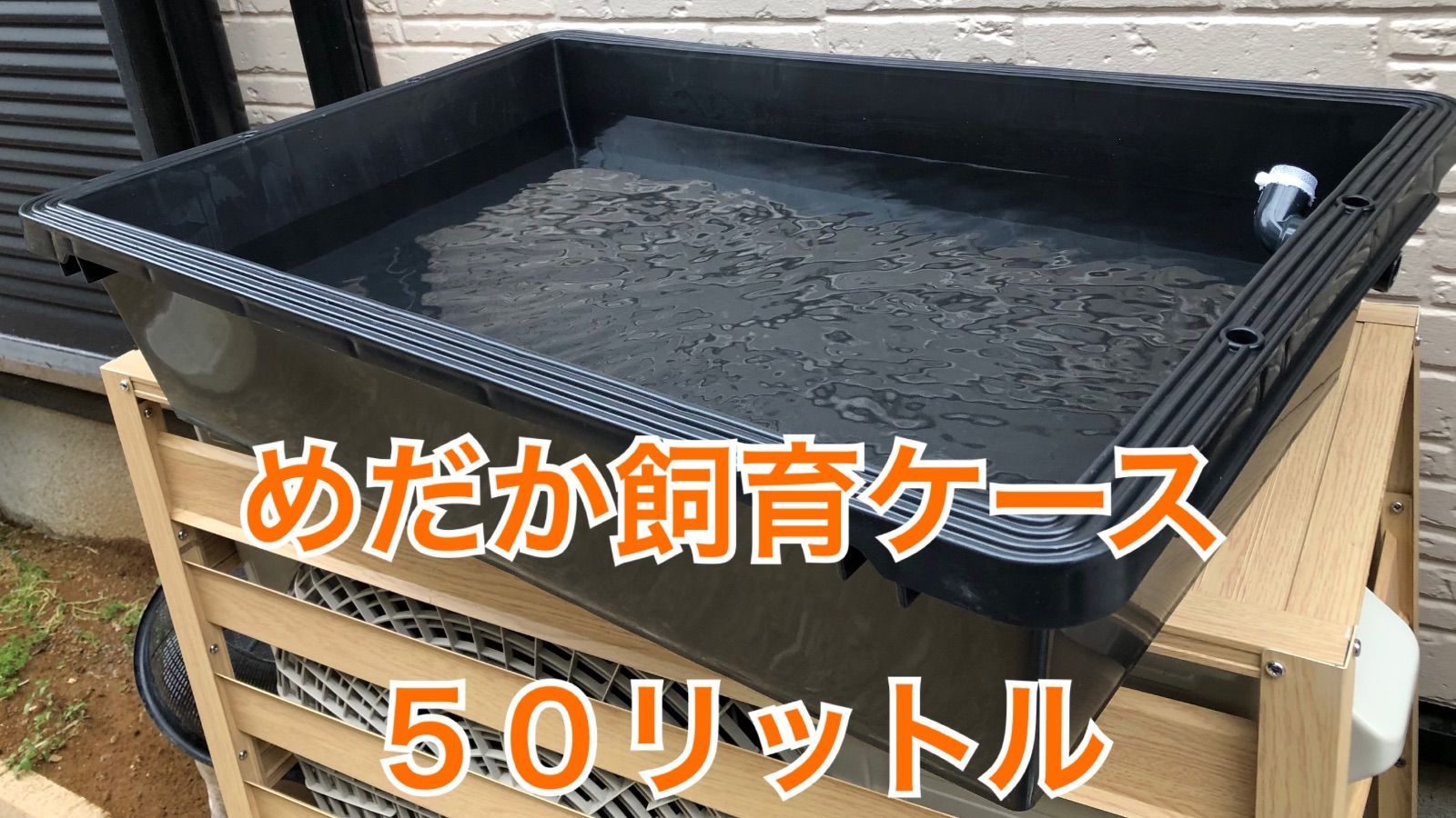 メダカ飼育ケース【35㍑黒 5個 オーバーフローキャップ付】金魚 メダカ飼育ケース【35㍑黒 5個 オーバーフローキャップ付】金魚