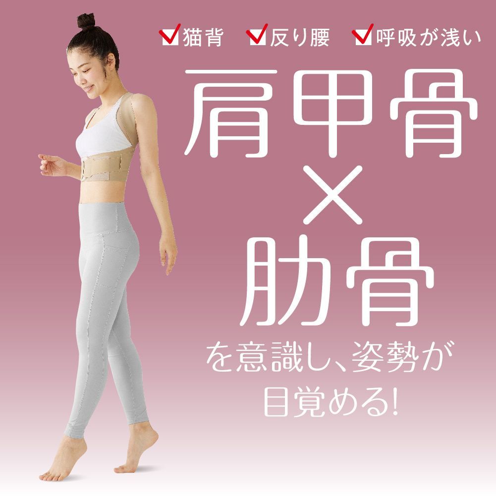 アルファックス 姿勢ベルト お医者さんの体幹姿勢サポーター ピタ肌 背筋ベルト 背中用 薄型 サイズ選択 M～L L～LL
