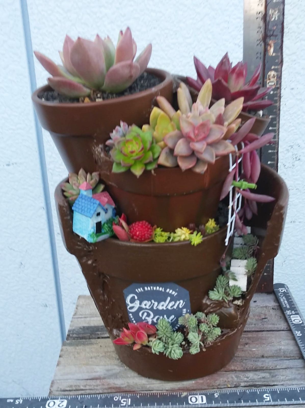 032201多肉植物の寄せ植え☆ワンちゃんいる館☆限定1品 （4141