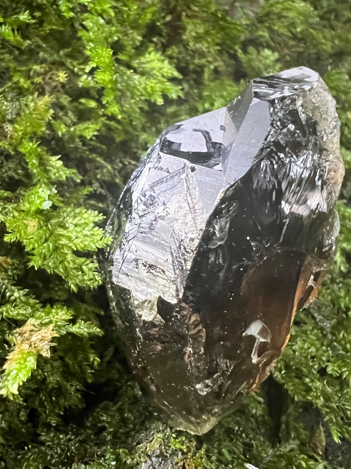 龍脈の精髄 水晶クラスター 「光を宿す透明なる守護」 宮崎県産 保護猫活動支援 龍脈の精髄 水晶クラスター 「光を宿す透明なる守護」 宮崎県産