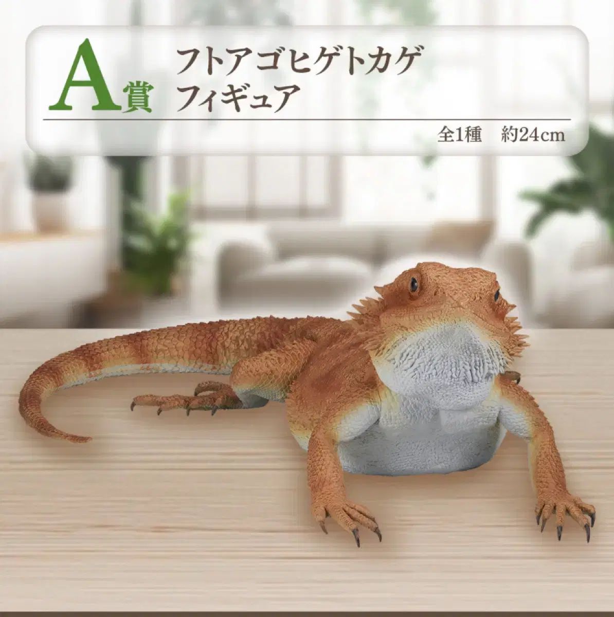 一番くじ 爬虫類と両生類 A あごひげ ドラゴン