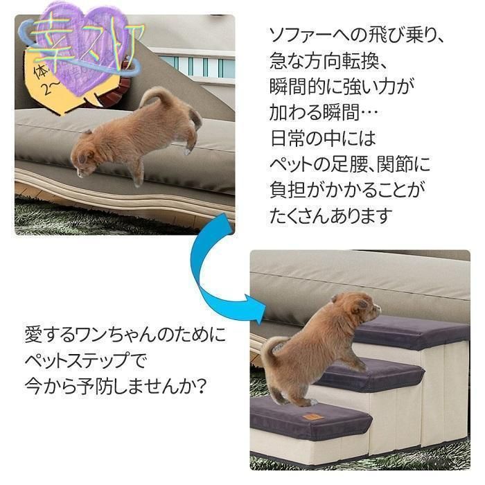 犬 階段